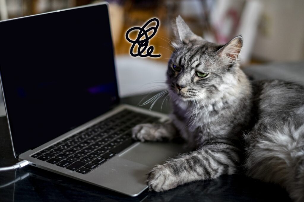 パソコンの前でうまくいかない表情の猫